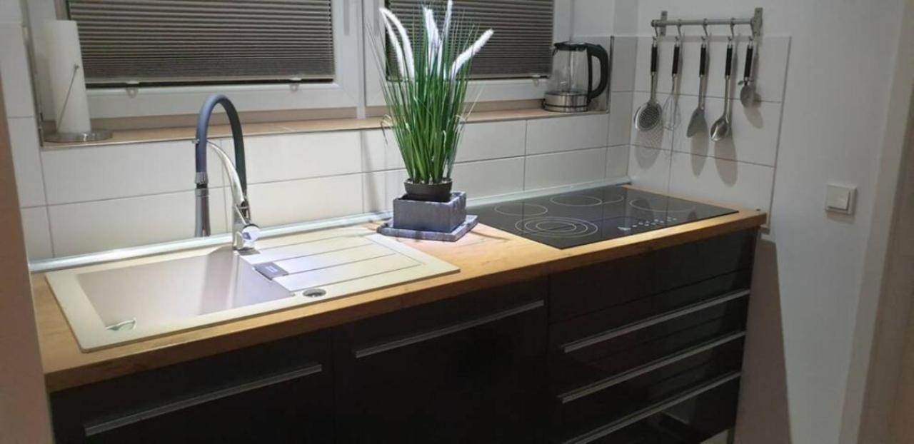 Schicke Ferienwohnung Mit Harzblick Fuer 1-2 Oder 1-4 Personen Goslar Exterior foto